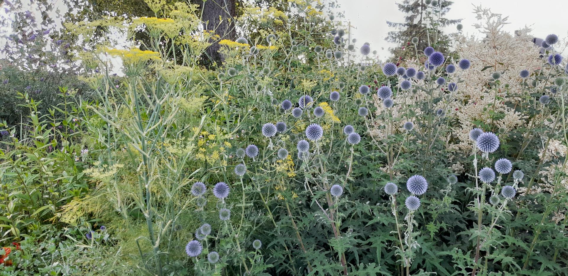 Vaste planten border