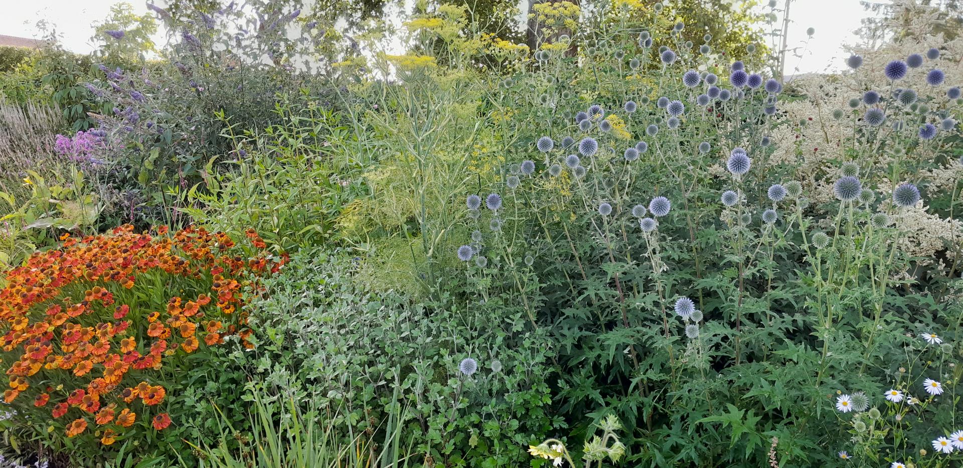 Vaste planten border